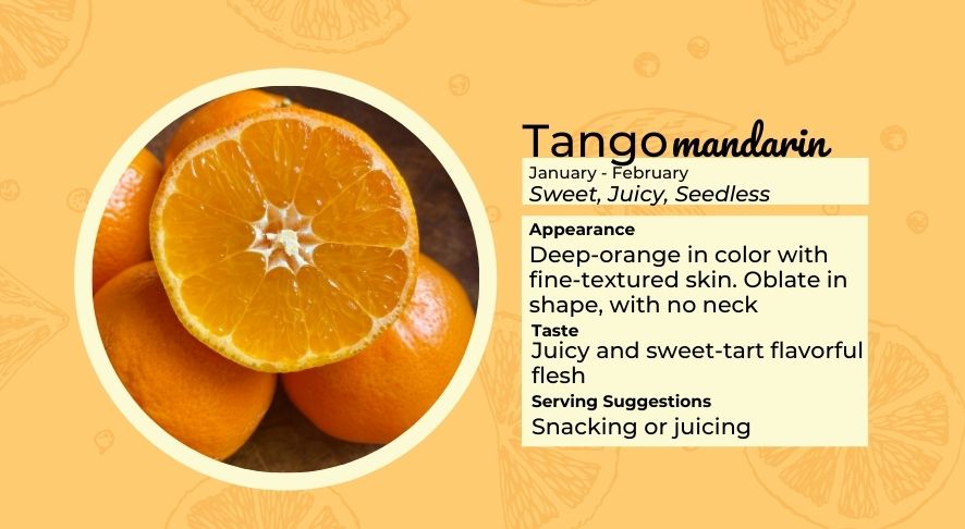 Tango Mandarin Infographic